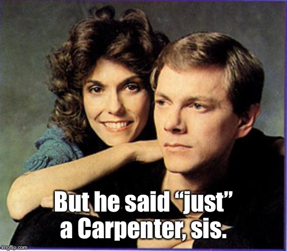 The Carpenters | But he said “just” a Carpenter, sis. | image tagged in the carpenters | made w/ Imgflip meme maker