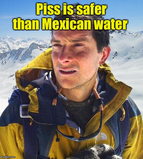 Bear Grylls Meme | Piss is safer than Mexican water | image tagged in memes,bear grylls | made w/ Imgflip meme maker