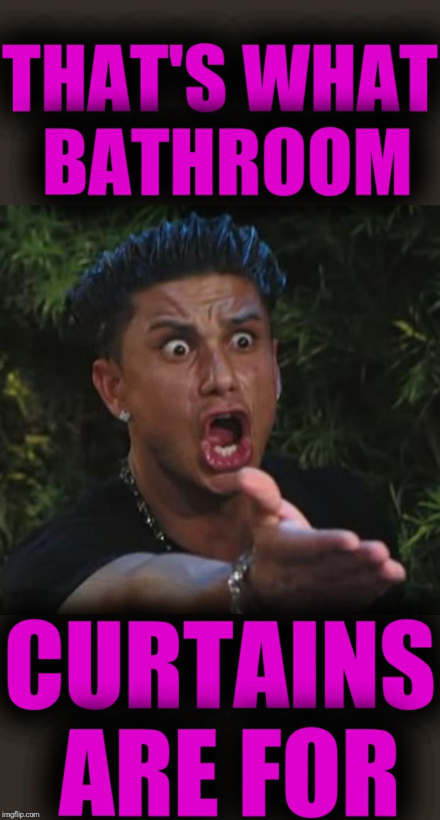 DJ Pauly D Meme | THAT'S WHAT
 BATHROOM CURTAINS
 ARE FOR | image tagged in memes,dj pauly d | made w/ Imgflip meme maker