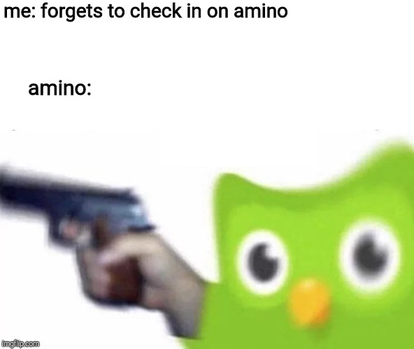 duolingo gun | me: forgets to check in on amino; amino: | image tagged in duolingo gun | made w/ Imgflip meme maker