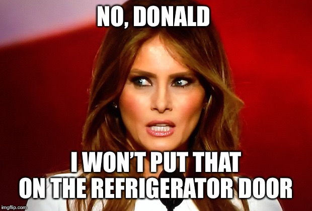 Melania trump  | NO, DONALD I WON’T PUT THAT ON THE REFRIGERATOR DOOR | image tagged in melania trump | made w/ Imgflip meme maker