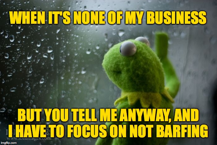 kermit window | WHEN IT'S NONE OF MY BUSINESS BUT YOU TELL ME ANYWAY, AND I HAVE TO FOCUS ON NOT BARFING | image tagged in kermit window | made w/ Imgflip meme maker