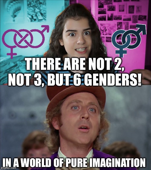 Pure imagination | THERE ARE NOT 2, NOT 3, BUT 6 GENDERS! IN A WORLD OF PURE IMAGINATION | image tagged in willy wonka | made w/ Imgflip meme maker