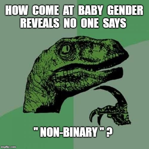 Gender Reveal | HOW  COME  AT  BABY  GENDER
REVEALS  NO  ONE  SAYS; " NON-BINARY " ? | image tagged in memes,philosoraptor,gender identity,rick75230 | made w/ Imgflip meme maker
