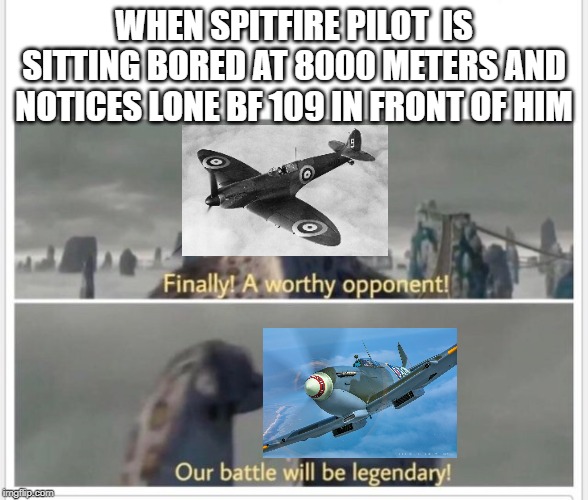 Finally! A worthy opponent! | WHEN SPITFIRE PILOT  IS SITTING BORED AT 8000 METERS AND NOTICES LONE BF 109 IN FRONT OF HIM | image tagged in finally a worthy opponent | made w/ Imgflip meme maker