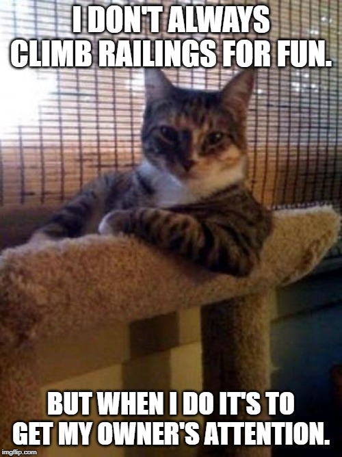 Cat Climbing |  I DON'T ALWAYS CLIMB RAILINGS FOR FUN. BUT WHEN I DO IT'S TO GET MY OWNER'S ATTENTION. | image tagged in memes,the most interesting cat in the world | made w/ Imgflip meme maker