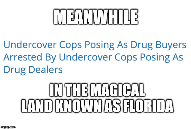 MEANWHILE IN THE MAGICAL LAND KNOWN AS FLORIDA | made w/ Imgflip meme maker