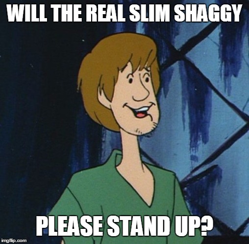 Will The Real Slim Shaggy Please Stand Up? | WILL THE REAL SLIM SHAGGY; PLEASE STAND UP? | image tagged in cartoon shaggy 2,shaggy,slim shady,eminem | made w/ Imgflip meme maker