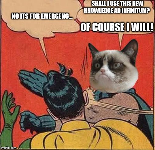 Grumpy Cat Slapping Robin | SHALL I USE THIS NEW KNOWLEDGE AD INFINITUM? NO ITS FOR EMERGENC... OF COURSE I WILL! | image tagged in grumpy cat slapping robin | made w/ Imgflip meme maker