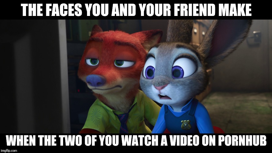 Zootopia meets PornHub | THE FACES YOU AND YOUR FRIEND MAKE; WHEN THE TWO OF YOU WATCH A VIDEO ON PORNHUB | image tagged in nick wilde and judy hopps shocked,zootopia,nick wilde,judy hopps,pornhub,funny | made w/ Imgflip meme maker