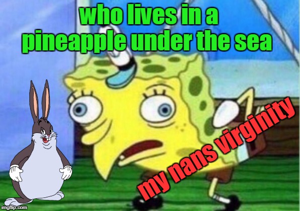 Mocking Spongebob | who lives in a pineapple under the sea; my nans virginity | image tagged in memes,mocking spongebob | made w/ Imgflip meme maker