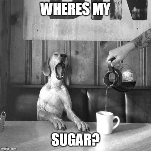 NO SUGAR FOR YOU | WHERES MY; SUGAR? | image tagged in crying coffee dog,dog,funny dogs | made w/ Imgflip meme maker