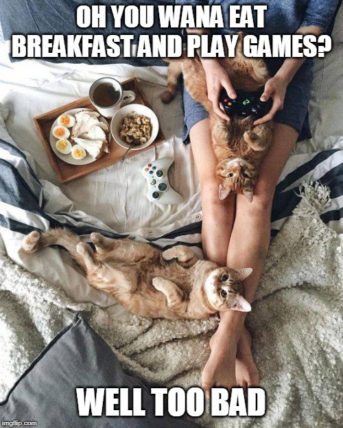 NOPE | OH YOU WANA EAT BREAKFAST AND PLAY GAMES? WELL TOO BAD | image tagged in cats,funny cats,video games,cute cat | made w/ Imgflip meme maker