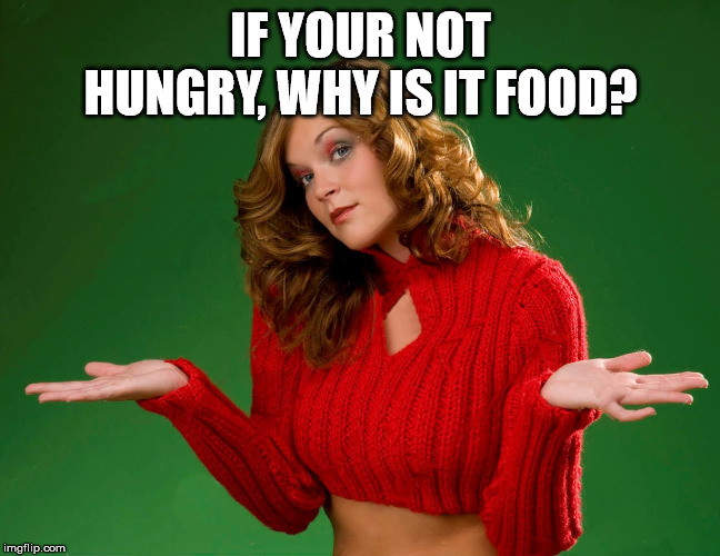 indecision | IF YOUR NOT HUNGRY, WHY IS IT FOOD? | image tagged in indecision | made w/ Imgflip meme maker