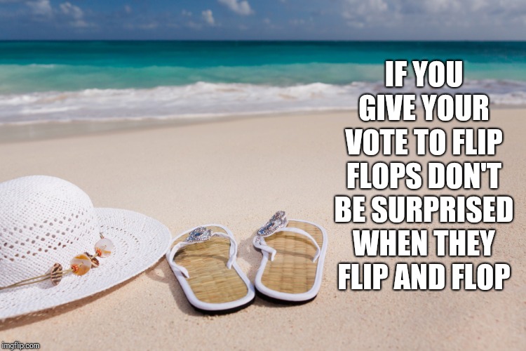 I'm Proud I Said It.  Flip: No I Didn't Say It.  Flop: I'm Proud I Said It.  Flip Flop | IF YOU GIVE YOUR VOTE TO FLIP FLOPS DON'T BE SURPRISED WHEN THEY FLIP AND FLOP | image tagged in mondays are better in flip flops,trump unfit unqualified dangerous,memes,liar in chief,racist trump,liars club | made w/ Imgflip meme maker