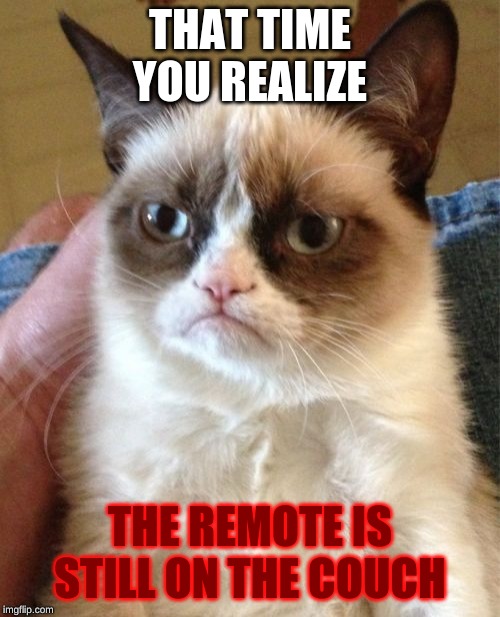 Grumpy Cat Meme | THAT TIME YOU REALIZE; THE REMOTE IS STILL ON THE COUCH | image tagged in memes,grumpy cat | made w/ Imgflip meme maker