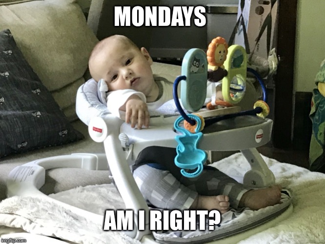 Tired of this sh#t | MONDAYS; AM I RIGHT? | image tagged in tired of this sht | made w/ Imgflip meme maker