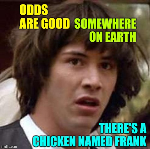 E.  Eye. E. Eye. O. | SOMEWHERE ON EARTH; ODDS ARE GOOD; THERE'S A CHICKEN NAMED FRANK | image tagged in memes,conspiracy keanu,funny chicken,say what,what the,what if i told you | made w/ Imgflip meme maker