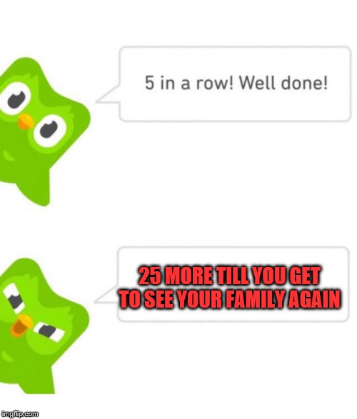 Duolingo 5 in a row | 25 MORE TILL YOU GET TO SEE YOUR FAMILY AGAIN | image tagged in duolingo 5 in a row | made w/ Imgflip meme maker