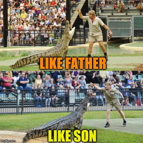 Same Croc, 15 Years Later | LIKE FATHER; LIKE SON | image tagged in steve irwin,robert irwin,animals,crocs | made w/ Imgflip meme maker