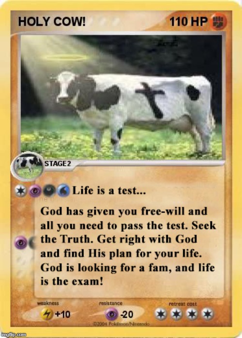 HOLY COW! | image tagged in holy cow,life is a test,seek truth,get right with god,find gods plan | made w/ Imgflip meme maker
