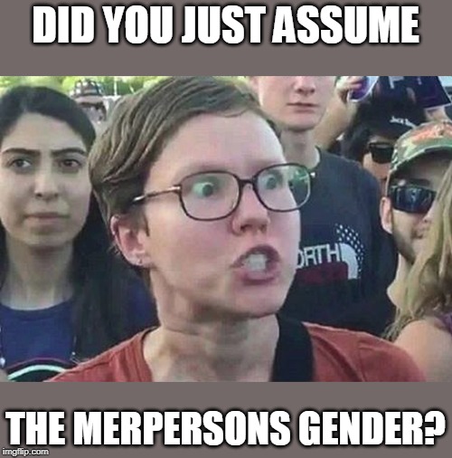 Triggered Liberal | DID YOU JUST ASSUME THE MERPERSONS GENDER? | image tagged in triggered liberal | made w/ Imgflip meme maker
