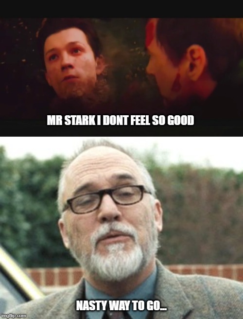MR STARK I DONT FEEL SO GOOD; NASTY WAY TO GO... | image tagged in spiderman,avengers,simon pegg | made w/ Imgflip meme maker