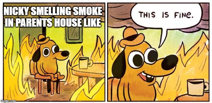 This Is Fine Meme | NICKY SMELLING SMOKE IN PARENTS HOUSE LIKE | image tagged in this is fine dog | made w/ Imgflip meme maker