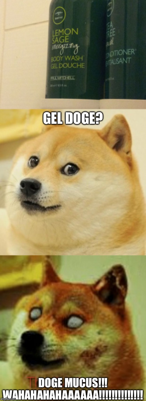 GEL DOGE? DOGE MUCUS!!! WAHAHAHAHAAAAAA!!!!!!!!!!!!!! | image tagged in memes,doge,gel douche gel doughe gel doge | made w/ Imgflip meme maker