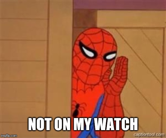 psst spiderman | NOT ON MY WATCH | image tagged in psst spiderman | made w/ Imgflip meme maker
