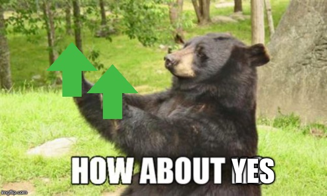 How About No Bear Meme | YES | image tagged in memes,how about no bear | made w/ Imgflip meme maker