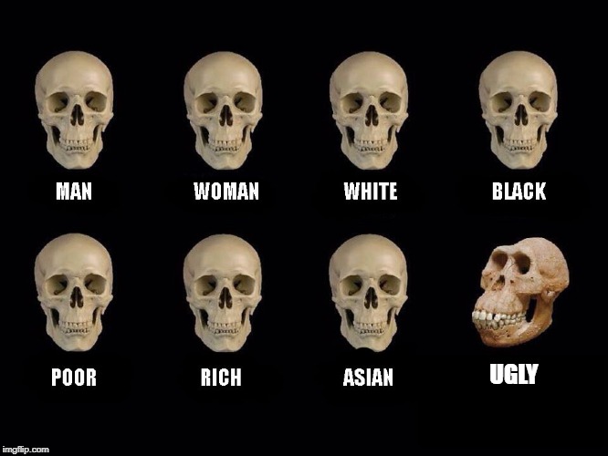 its the truth | UGLY | image tagged in empty skulls of truth | made w/ Imgflip meme maker