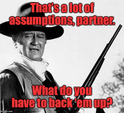 John Wayne Comeback | That’s a lot of assumptions, partner. What do you have to back ‘em up? | image tagged in john wayne comeback | made w/ Imgflip meme maker