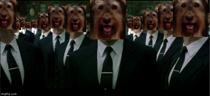 Agent Buck | AGENT BUCK | made w/ Imgflip meme maker