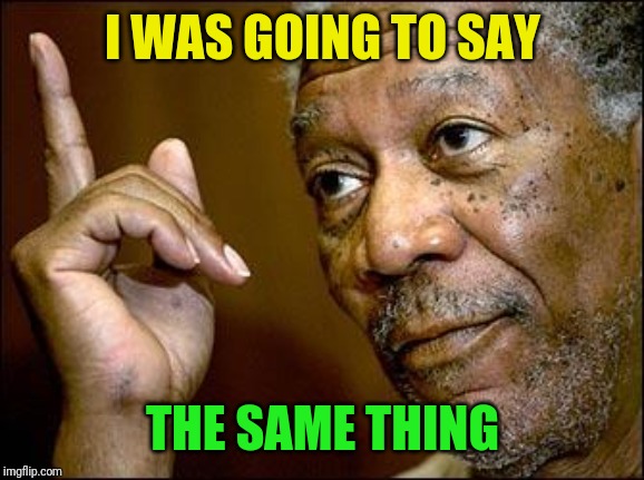 This Morgan Freeman | I WAS GOING TO SAY THE SAME THING | image tagged in this morgan freeman | made w/ Imgflip meme maker