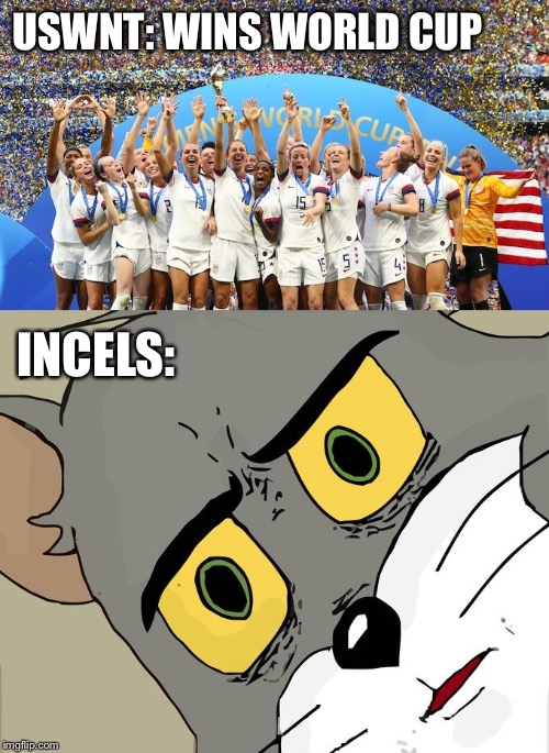 USWNT: WINS WORLD CUP; INCELS: | image tagged in memes | made w/ Imgflip meme maker