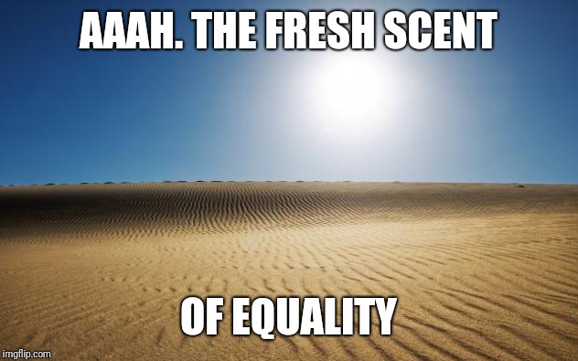 desert | AAAH. THE FRESH SCENT OF EQUALITY | image tagged in desert | made w/ Imgflip meme maker