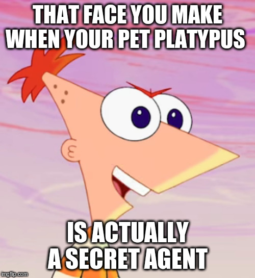 There aren't enough Phineas and Ferb memes in the world. | THAT FACE YOU MAKE WHEN YOUR PET PLATYPUS; IS ACTUALLY A SECRET AGENT | image tagged in phineas and ferb,perry the platypus,meme,original,angry phineas,fedora | made w/ Imgflip meme maker