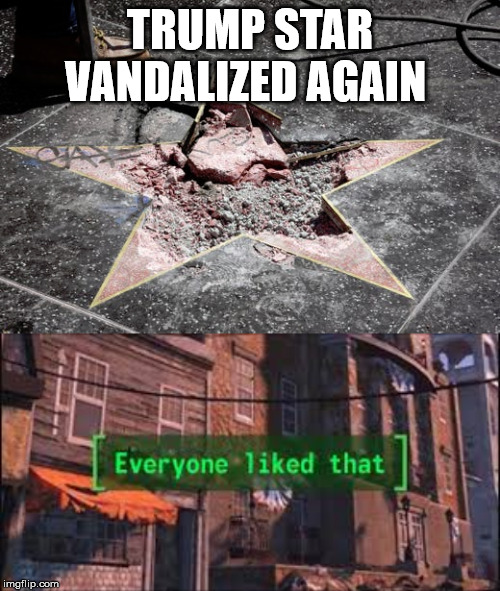 TRUMP STAR VANDALIZED AGAIN | image tagged in everyone liked that | made w/ Imgflip meme maker