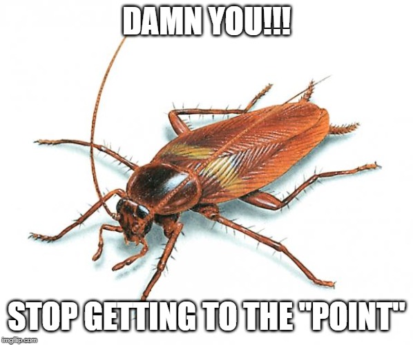 Cockroach | DAMN YOU!!! STOP GETTING TO THE "POINT" | image tagged in cockroach | made w/ Imgflip meme maker