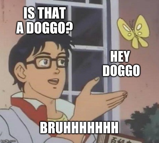 Is This A Pigeon | IS THAT A DOGGO? HEY 
DOGGO; BRUHHHHHHH | image tagged in memes,is this a pigeon | made w/ Imgflip meme maker