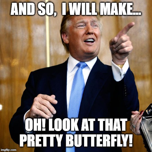 Donal Trump Birthday | AND SO,  I WILL MAKE... OH! LOOK AT THAT PRETTY BUTTERFLY! | image tagged in donal trump birthday | made w/ Imgflip meme maker