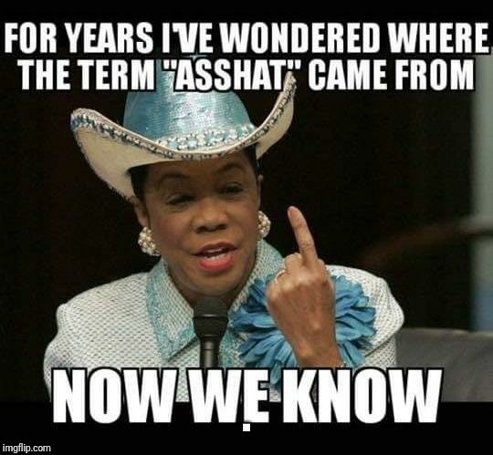 Frederica Wilson | image tagged in frederica wilson | made w/ Imgflip meme maker