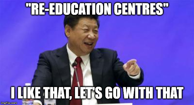 Family separations in China | "RE-EDUCATION CENTRES"; I LIKE THAT, LET'S GO WITH THAT | image tagged in xi jinping,china,uighurs,repression,politics,memes | made w/ Imgflip meme maker