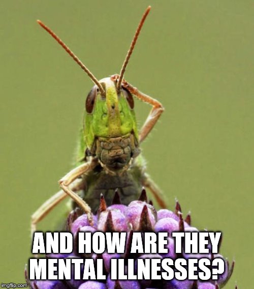 Confused Grasshopper | AND HOW ARE THEY MENTAL ILLNESSES? | image tagged in confused grasshopper | made w/ Imgflip meme maker