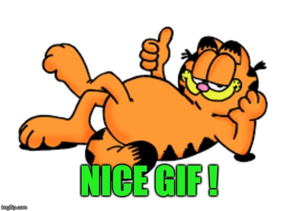 NICE GIF ! | made w/ Imgflip meme maker