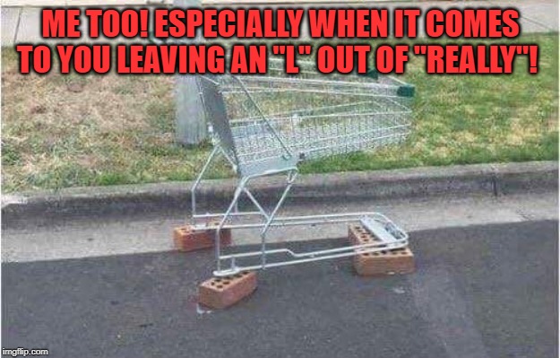 Shopping Cart | ME TOO! ESPECIALLY WHEN IT COMES TO YOU LEAVING AN "L" OUT OF "REALLY"! | image tagged in shopping cart | made w/ Imgflip meme maker