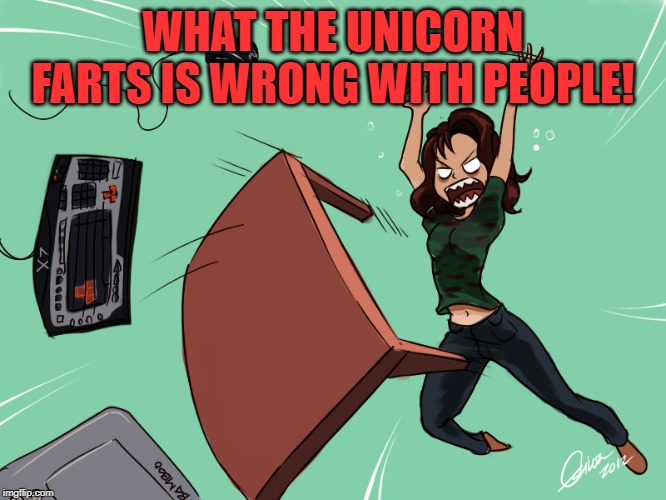 flipping the desk | WHAT THE UNICORN FARTS IS WRONG WITH PEOPLE! | image tagged in flipping the desk | made w/ Imgflip meme maker