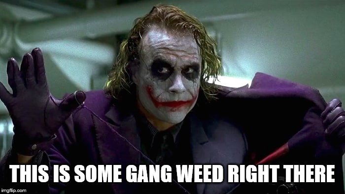 We live in a society | THIS IS SOME GANG WEED RIGHT THERE | image tagged in we live in a society | made w/ Imgflip meme maker