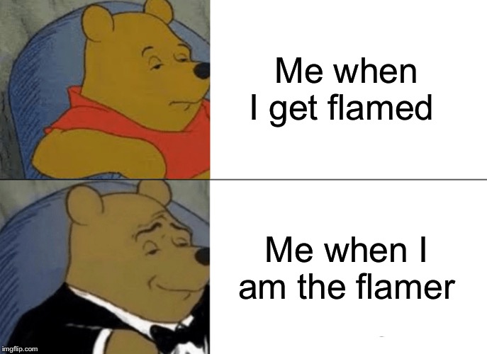 Got rosted online | Me when I get flamed; Me when I am the flamer | image tagged in memes,tuxedo winnie the pooh | made w/ Imgflip meme maker